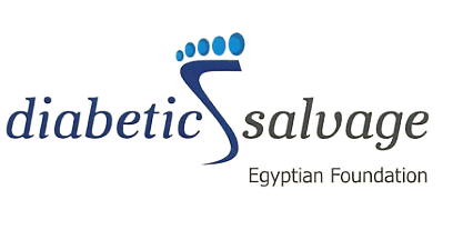 DS Logo